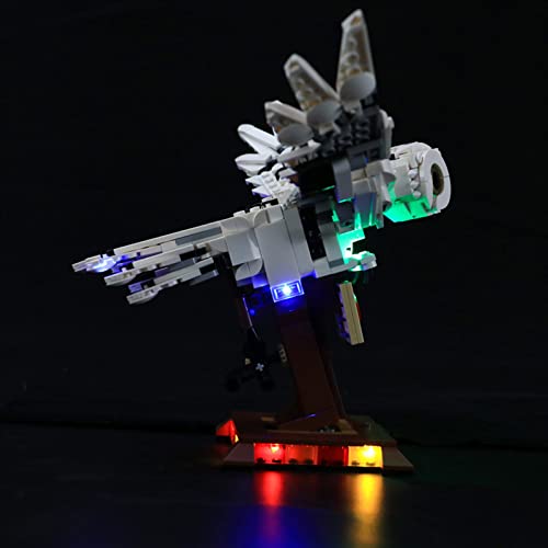 ADMLZQQ Kit De Luces LED para Lego Harry Potter Hedwig, El Kit De Luces LED De Ladrillo Compatible con 75979,No Incluye El Modelo Lego