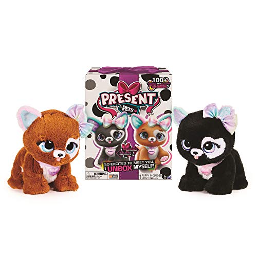 Bizak- Paw Mi Mascota, Regalo Glitter Present Juguete (61926531)