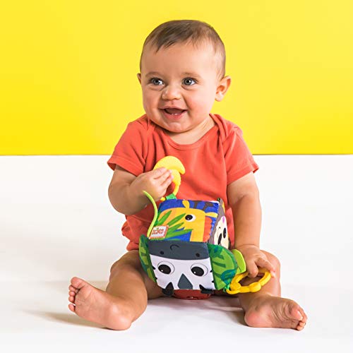 Bright Starts, Cubos de actividades Hide & Peek