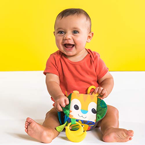 Bright Starts, Cubos de actividades Hide & Peek