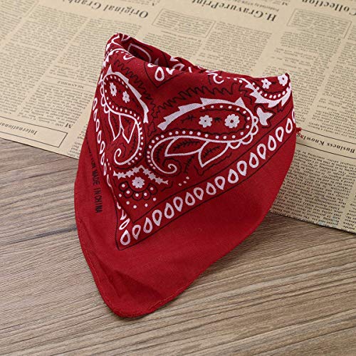 Carnavalife Sombrero Cowboy de Vaquero con Pañuelo Bandanas Paisley de Algodón Toy Story Western Disfraz para Adulto y Niños (Marrón, Adulto/58cm)