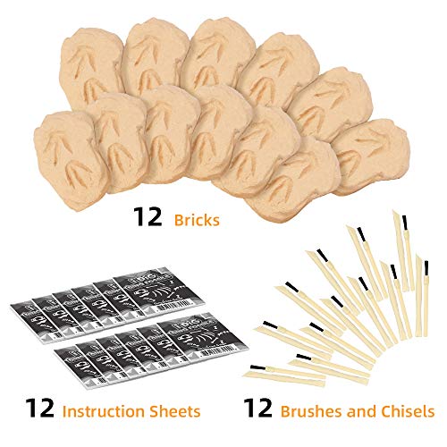 CestMall Kit de excavación de Dinosaurios, 12 Piezas de Juguete de excavación arqueológica con Diferentes Figuras de Dinosaurios en el Interior Kit de excavación de Dinosaurios Dino Fossil Dig Kit