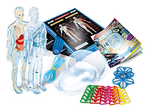 Clementoni 19027 Físicos y Juegos El Cuerpo Humano Medium Multicolor