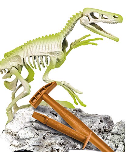 Clementoni- Galileo Science Juego Velociraptor, Juguete para niños a Partir de 7 años, excavación de ossilios de Dinosaurios con Martillo y cincel, para pequeños investigadores (59174)