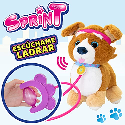 ColorBaby- Puppy Peluche, Sprint, Correa con Bomba de Aire, Perro Sonido, Levanta Orejas y colita, Perritos de Juguete Que andan, A Partir de los 18 Meses, Incluye Pilas (46675), Multicolor