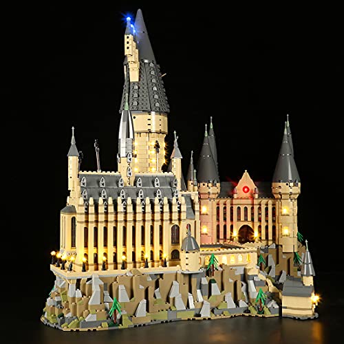 Dellia Juego de iluminación LED para Lego 71043 Castillo Hogwarts de Harry Potter, juego de luz LED, compatible con LEGO 71043 (sin set Lego)