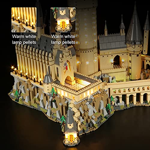 Dellia Juego de iluminación LED para Lego 71043 Castillo Hogwarts de Harry Potter, juego de luz LED, compatible con LEGO 71043 (sin set Lego)