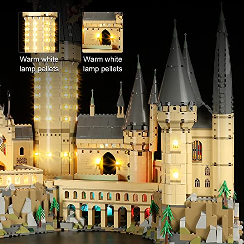 Dellia Juego de iluminación LED para Lego 71043 Castillo Hogwarts de Harry Potter, juego de luz LED, compatible con LEGO 71043 (sin set Lego)