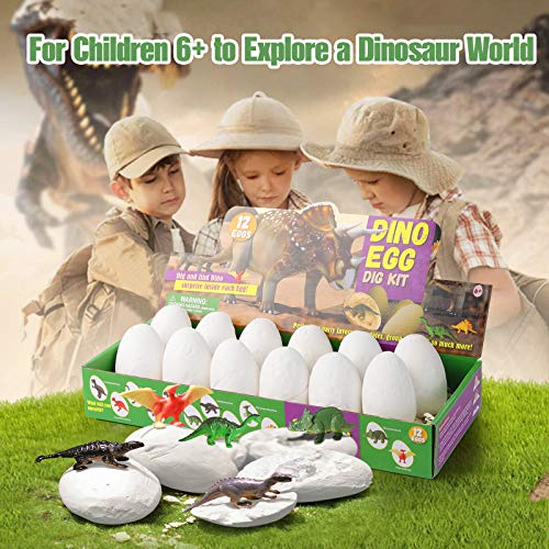 Diealles Shine Huevos de Dinosaurios, Huevos de Dinosaurio Excavacion Paquete de 12, Juguetes Educativos para Niños de 6+ Años Regalo de Niños Niñas