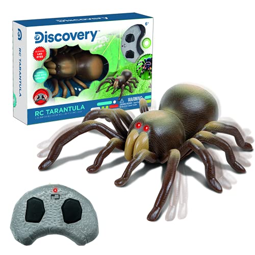 Discovery IR Tarántula radiocontrol, RC, Animal Realista, Juguetes niño 8 años, Infrarrojos, teledirigido (World Brands 6000376)