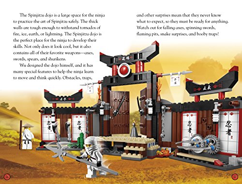 DK Readers L4: LEGO NINJAGO: Team Ninja: Discover the Ninja's Battle Secrets! (DK Readers Level 4)