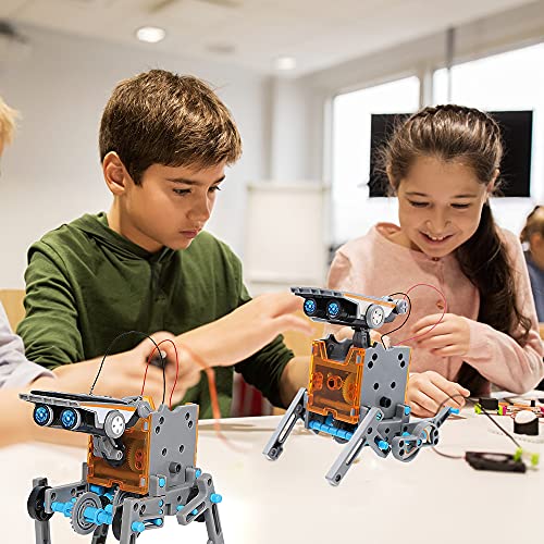 Dreamy Cubby Stem Toys Kit de Robot Solar para Niños de 8 Años 12 en1Educativo de Aprendizaje de Ciencias de Construcción con Alicates para Niños de 8 a 12 Años