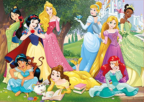 Educa Borras - Serie Disney, Puzzle 500 piezas Princesas Disney (17723)