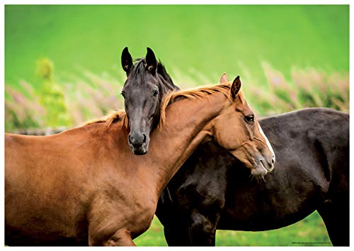 Educa - Caballos Puzzle Infantil de 200 Piezas, a Partir de 6 años, Multicolor (18608)