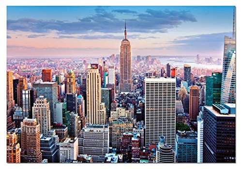 Educa - Manhattan, Nueva York Puzzle, 1000 Piezas, Multicolor (14811)