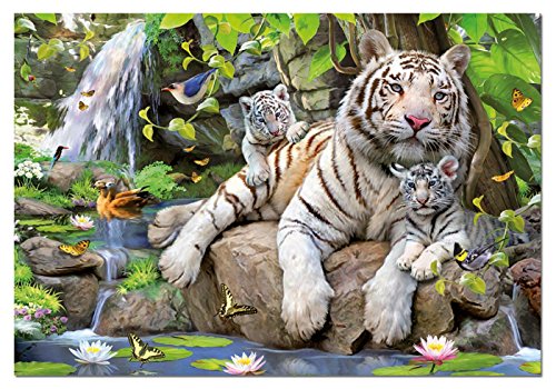 Educa - Tigres Blancos de Bengala Puzzle, 1000 Piezas, Multicolor, 1.000 (14808)