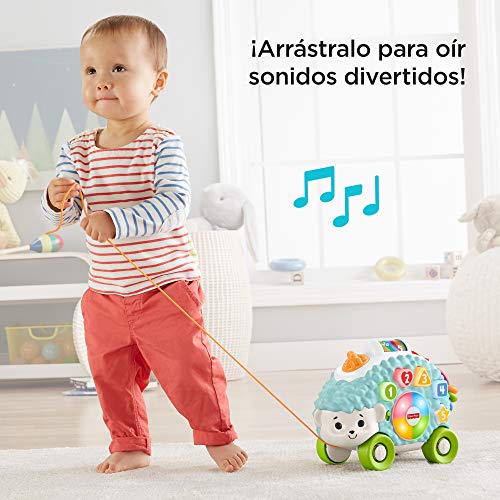 Fisher-Price Erizo Linkimals, Juguete interactivo bebés +9 meses (Mattel, GJB06) , color/modelo surtido