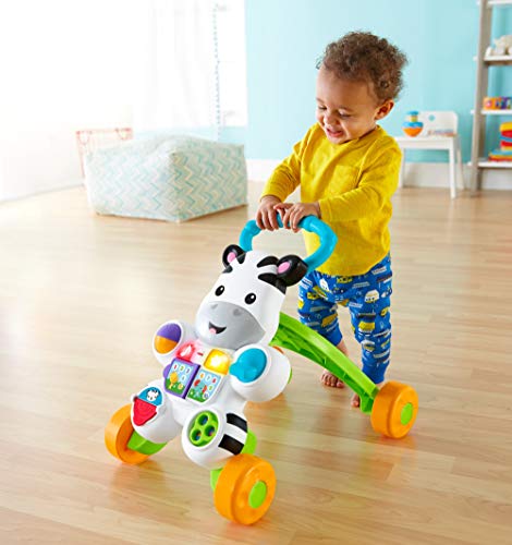 Fisher-Price Fisher-Price-DLD96 Zebra Walker-FR, Multicolor GXC30