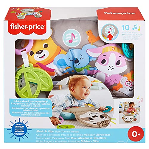 Fisher-Price Perezoso Cojín con música y vibraciones relajantes para bebé, incluye mordedor y actividade (Mattel GRR01)