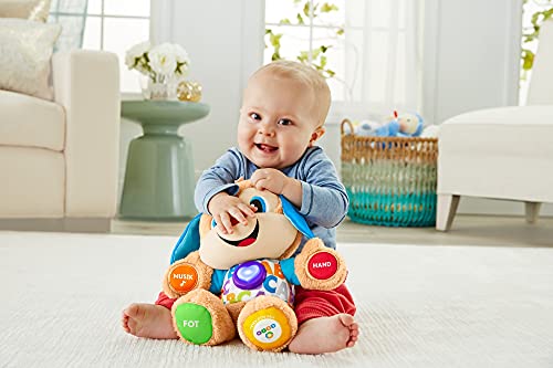 Fisher-Price Perrito Educativo, Individual, Multicolor, 1 Stück (1er Pack) (Mattel GmbH 8.87962E+11)