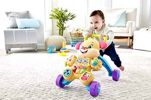 Fisher-Price Ríe y Aprende - Andador Perrito Primeros Pasos, Correpasillos Bebé +6 meses (Mattel FRC85), Embalaje estándar