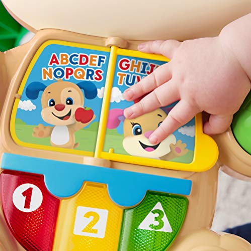 Fisher-Price Ríe y Aprende - Andador Perrito Primeros Pasos, Correpasillos Bebé +6 meses (Mattel FRC85), Embalaje estándar