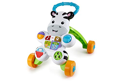 Fisher Price- Zebra de Juguete, Multicolor (Mattel 900 DLF00)