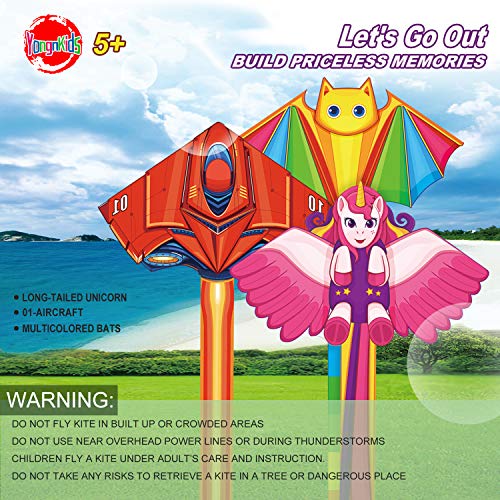 Flying Toy Kites - Cometa de avión para niños Adultos Jugar al aire libre en el parque de la playa - Cadena de 100 metros con mango fácil de volar, gran regalo para niños y niñas de 5 a 60 años