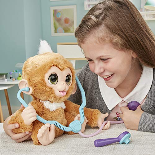 Furreal Friends Hasbro E0367EU4 - Zandi Visita Al Médico , color/modelo surtido