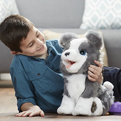 Furreal Friends Hasbro E0384175 - Ricky Mi Perrito Listo