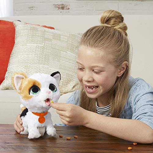 FurReal friends- Mascotas Poop A Lots Gatito Paseos (Hasbro E89465X0)