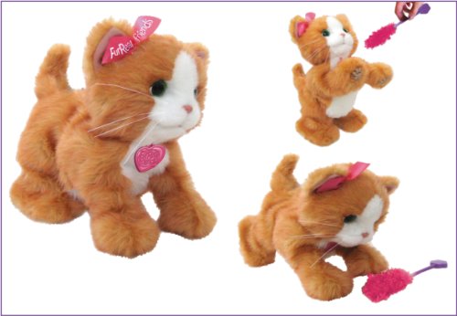 Furreal Friends - Peluche Daisy, mi gatita juguetona (Hasbro A2003E35)