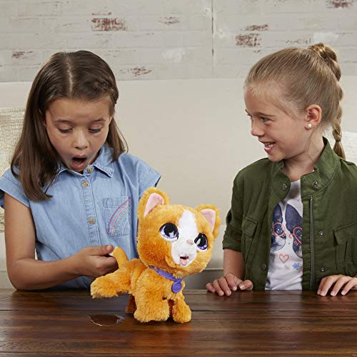 furReal Peealots Grandes Paseos - Gatita de Juguete interactiva para niños y niñas de 4 años en adelante