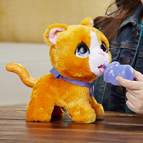 furReal Peealots Grandes Paseos - Gatita de Juguete interactiva para niños y niñas de 4 años en adelante