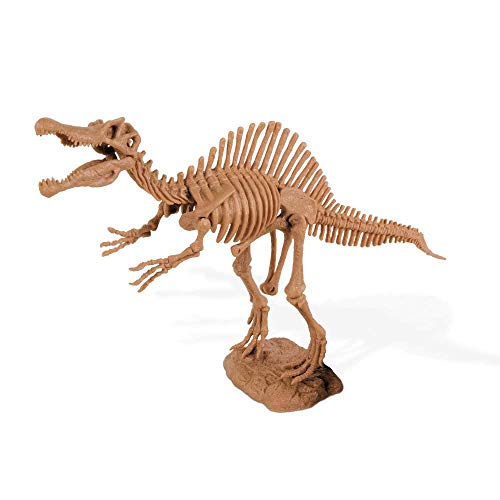 Geoworld - Spinosaurus Skeleton, Figura (DeQUBE Trading S.L. CL1668K)