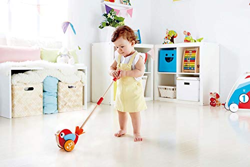 Hape Empuja a Lilly, Juguete para Empujar de Madera Pájaro Bebé Caminar, Juguete infantil con Palo Desmontable