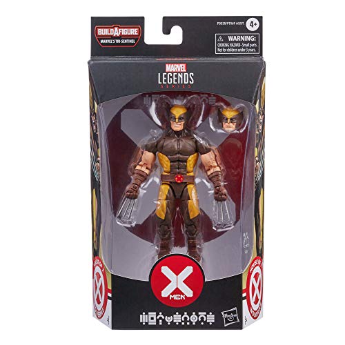 Hasbro Figura de acción Coleccionable de 15 cm de Lobezno de X-Men Marvel Legends Series, con Accesorios, para niños a Partir de 4 años