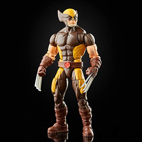 Hasbro Figura de acción Coleccionable de 15 cm de Lobezno de X-Men Marvel Legends Series, con Accesorios, para niños a Partir de 4 años