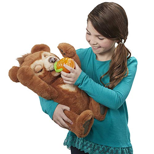 Hasbro FurReal Cubby-Oso de Peluche Interactivo con más de 100 Combinaciones de Sonido y Movimiento (E4591103)