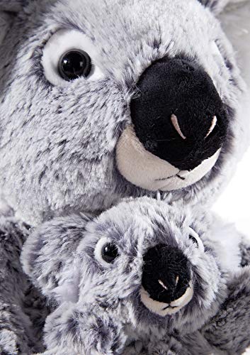 Heunec 247673 Misanimo Koala - Oso con niño, 27 cm, Multicolor