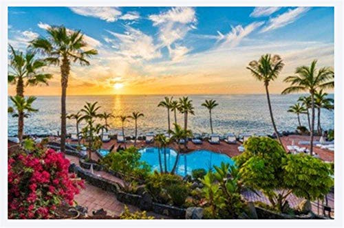 HOOBBI Rompecabezas Puzzle 1000 Puzzle Rompecabezas de Atardecer en la Costa de Adeje Tenerife Gente Amateur educativos para niños Amigo Familiar Adecuado