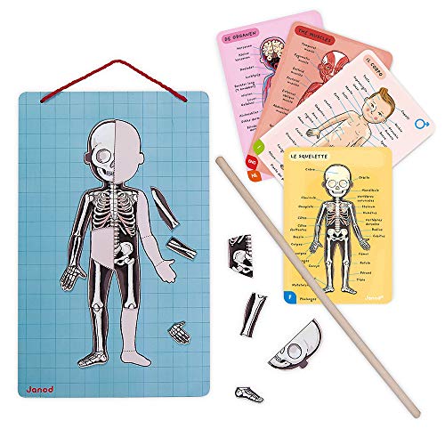 Janod- Imán Juego Educativo del Cuerpo Humano-Anatomía, Organos, Esqueleto, Músculos 76 Piezas Magnéticas-A Partir de 7 años-12 Lenguas (J05491)