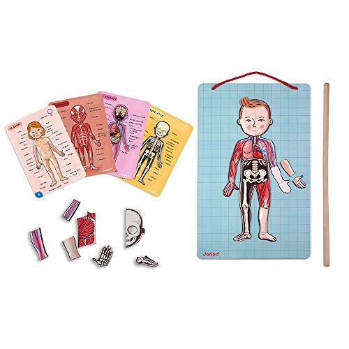 Janod- Imán Juego Educativo del Cuerpo Humano-Anatomía, Organos, Esqueleto, Músculos 76 Piezas Magnéticas-A Partir de 7 años-12 Lenguas (J05491)