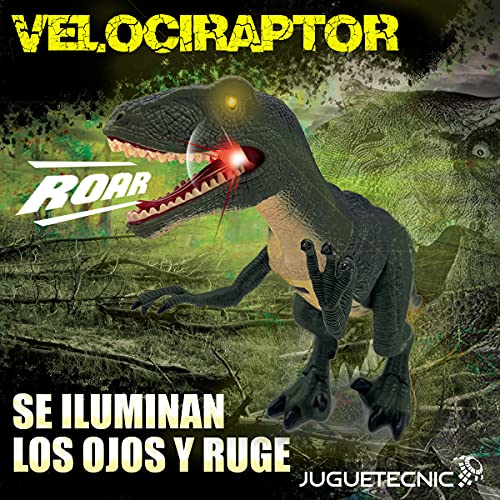 JUGUETECNIC | Velociraptor Teledirigido | Camina y Ruge | Movimiento articulado realista │ Juguete RC para niños | Robot Dinosaurio Interactivo │ Batería recargable