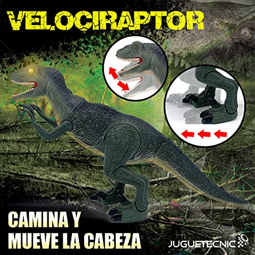 JUGUETECNIC | Velociraptor Teledirigido | Camina y Ruge | Movimiento articulado realista │ Juguete RC para niños | Robot Dinosaurio Interactivo │ Batería recargable