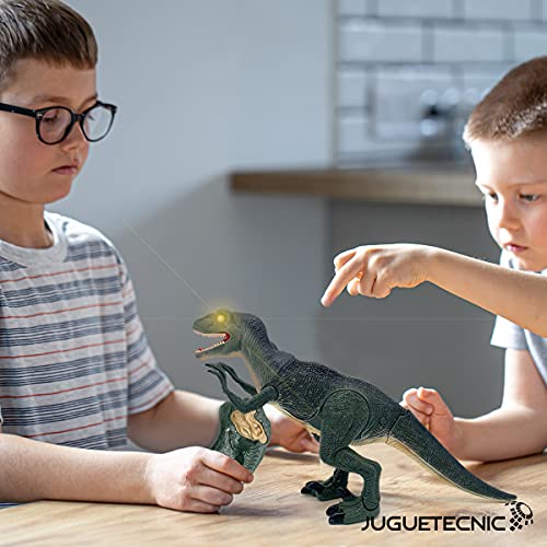 JUGUETECNIC | Velociraptor Teledirigido | Camina y Ruge | Movimiento articulado realista │ Juguete RC para niños | Robot Dinosaurio Interactivo │ Batería recargable