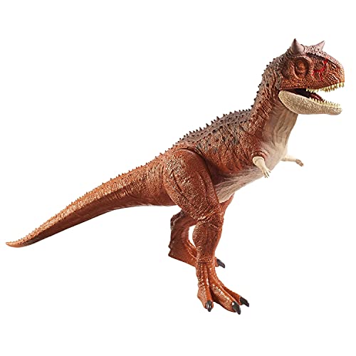 Jurassic World Carnotaurus Super Colosal Dinosaurio articulado 60cm, figura de juguete para niños (Mattel HBY86)