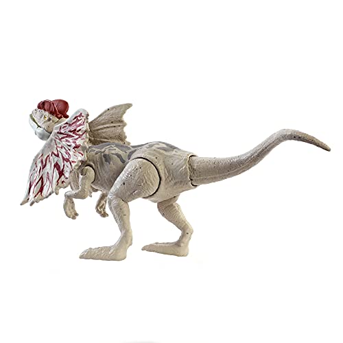 Jurassic World Fuerza Feroz Dilophosaurus Dinosaurio articulado, figura de juguete para niños (Mattel GWY30)