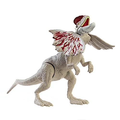 Jurassic World Fuerza Feroz Dilophosaurus Dinosaurio articulado, figura de juguete para niños (Mattel GWY30)