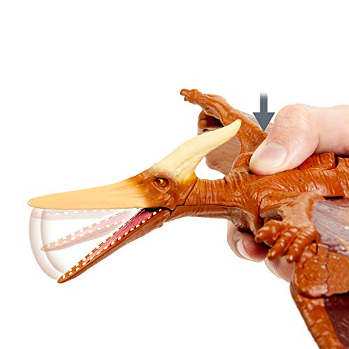 Jurassic World Ruge y Ataca Pteranodon Dinosaurio articulado con sonidos Figura de juguete para niños (Mattel GVH67)